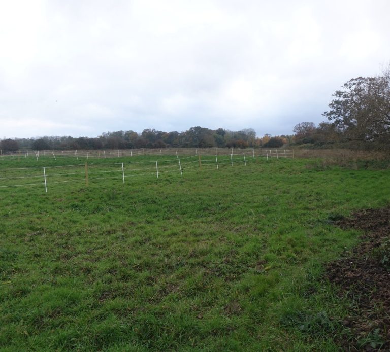View over land of planning appeal heritage impact assessment written for, northwold norfolk