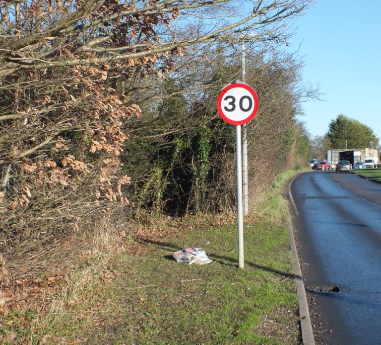 View of Panfield Road, Braintree Essex for Archaeological DBA